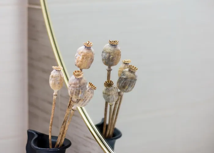 Kanelis On The Hill Apartment